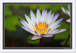 IMG_6495 * 800 x 549 * (240KB)