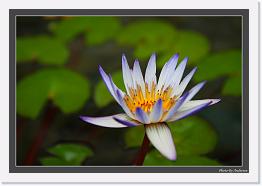 IMG_6498 * 800 x 549 * (229KB)