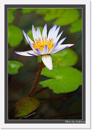 IMG_6500 * 547 x 800 * (247KB)