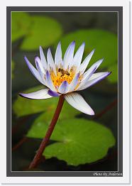 IMG_6525 * 547 x 800 * (194KB)