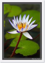 IMG_6526 * 547 x 800 * (197KB)