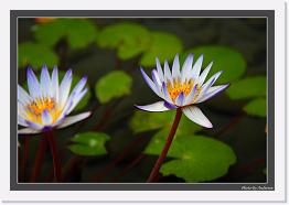 IMG_6527 * 800 x 549 * (236KB)