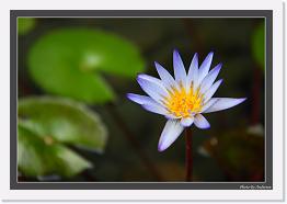 IMG_6528 * 800 x 549 * (227KB)