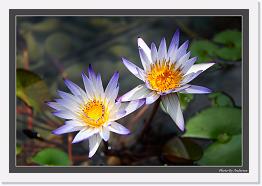 IMG_6533 * 800 x 549 * (222KB)