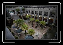 IMG_6449 * 892 x 608 * (249KB)