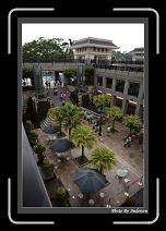 IMG_6450 * 608 x 908 * (243KB)