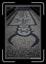 IMG_6455 * 608 x 908 * (245KB)