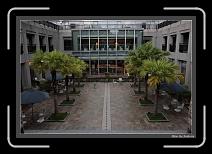 IMG_6466 * 892 x 608 * (234KB)