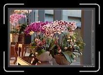 IMG_6474 * 892 x 608 * (235KB)