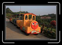 IMG_6602 * 892 x 608 * (239KB)