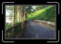 IMG_6610 * 892 x 608 * (243KB)