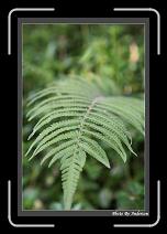 IMG_6624 * 608 x 908 * (230KB)