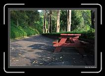 IMG_6625 * 892 x 608 * (242KB)