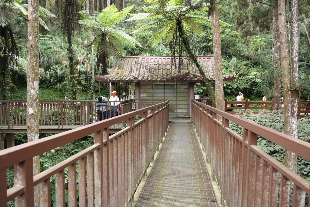 您正在觀看最後一張幻燈片