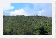 IMG_7750 * 800 x 533 * (455KB)