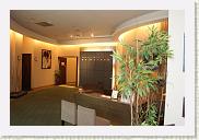 IMG_7776 * 800 x 533 * (398KB)