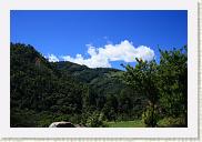 IMG_7851 * 800 x 533 * (501KB)