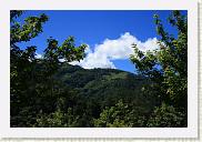 IMG_7854 * 800 x 533 * (583KB)