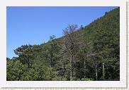 IMG_7862 * 800 x 533 * (512KB)