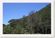 IMG_7863 * 800 x 533 * (499KB)