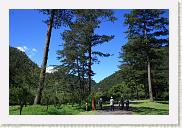 IMG_7879 * 800 x 533 * (611KB)