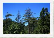 IMG_7880 * 800 x 533 * (556KB)