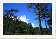 IMG_7898 * 800 x 533 * (579KB)