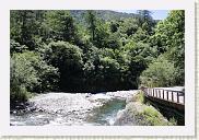 IMG_7917 * 800 x 533 * (654KB)