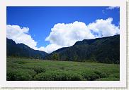 IMG_7922 * 800 x 533 * (483KB)