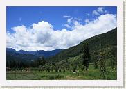 IMG_7949 * 800 x 533 * (428KB)