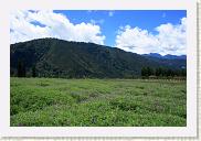 IMG_7950 * 800 x 533 * (526KB)