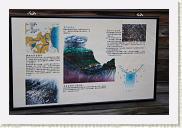 IMG_8006 * 800 x 533 * (406KB)