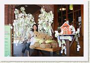 IMG_8080 * 800 x 533 * (500KB)