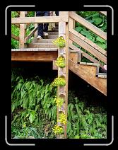 P5300080 * 450 x 600 * (173KB)