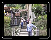 P1000753 * 800 x 600 * (182KB)