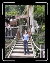 P1000756 * 600 x 800 * (173KB)