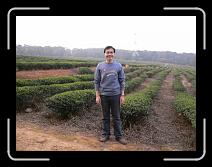 P1000782 * 800 x 600 * (115KB)