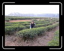 P1000785 * 800 x 600 * (147KB)