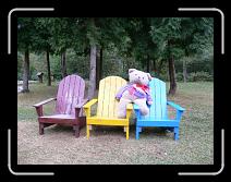 P1000801 * 800 x 600 * (142KB)