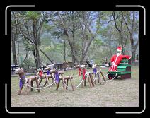 P1000851 * 800 x 600 * (148KB)